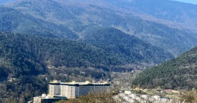 Bolu Gezilecek Yerler: Abant, Gölcük ve Yedigöller Gezi Rehberi (2026 Güncel)