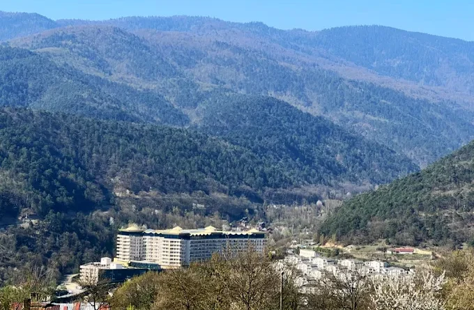 Bolu Gezilecek Yerler: Abant, Gölcük ve Yedigöller Gezi Rehberi (2026 Güncel)