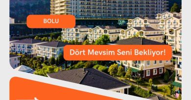 Yedigöller Milli Parkı Gezi Rehberi 2026 | Doğa Ulaşım Detaylar