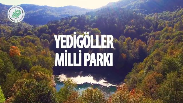 Yedigöller Milli Parkı Gezi Rehberi 2026 | Doğa Ulaşım Detaylar