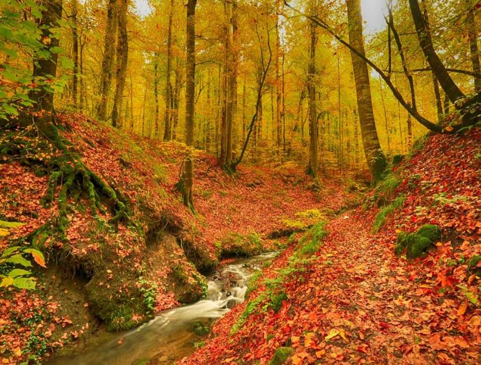 bolu gezilecek yerler”yedigöller