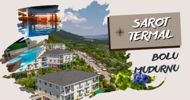 Bolu Mudurnu Taşkesti Gezi Rehberi 2026 Termal-Doğa
